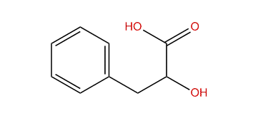 2-Hydroxy-3-phenylpropanoic acid